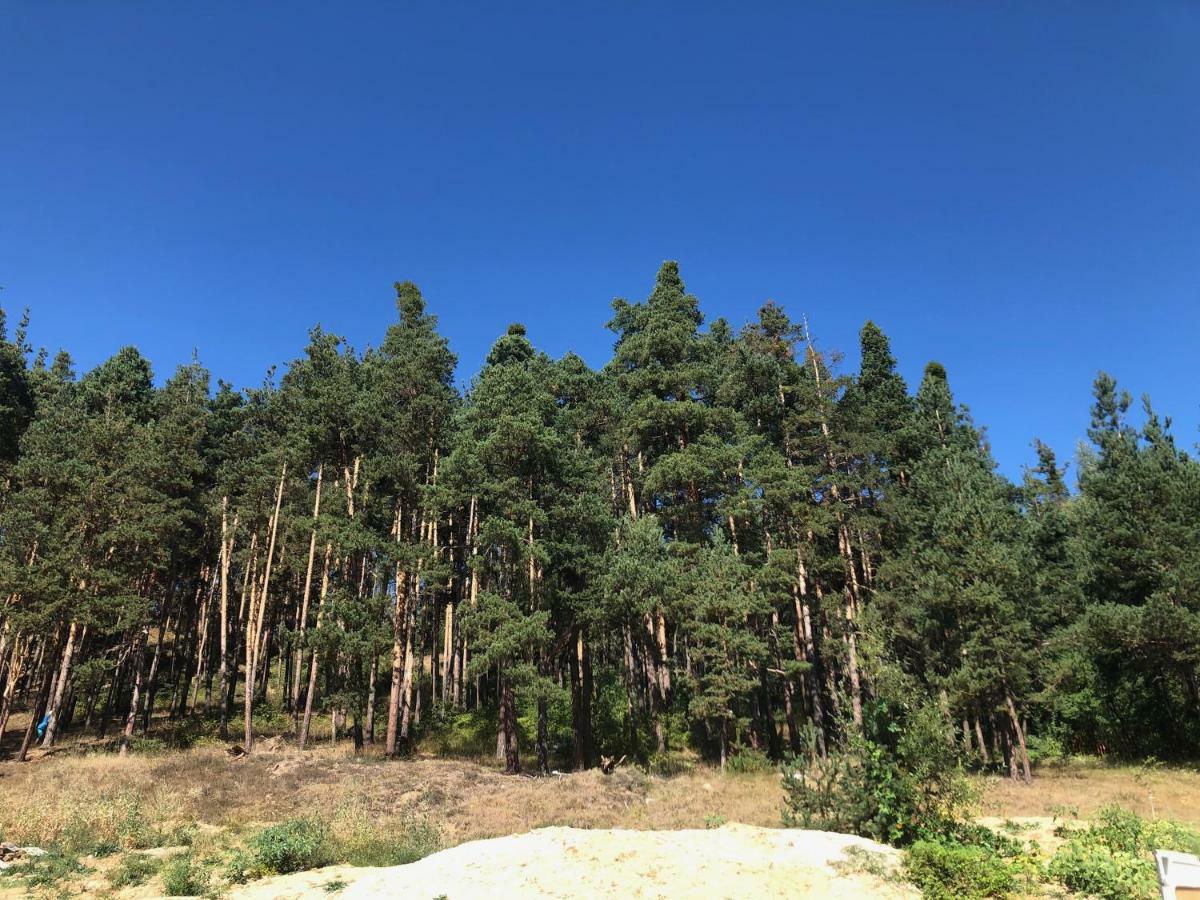 Borov Park 3 Lejlighed Velingrad Eksteriør billede