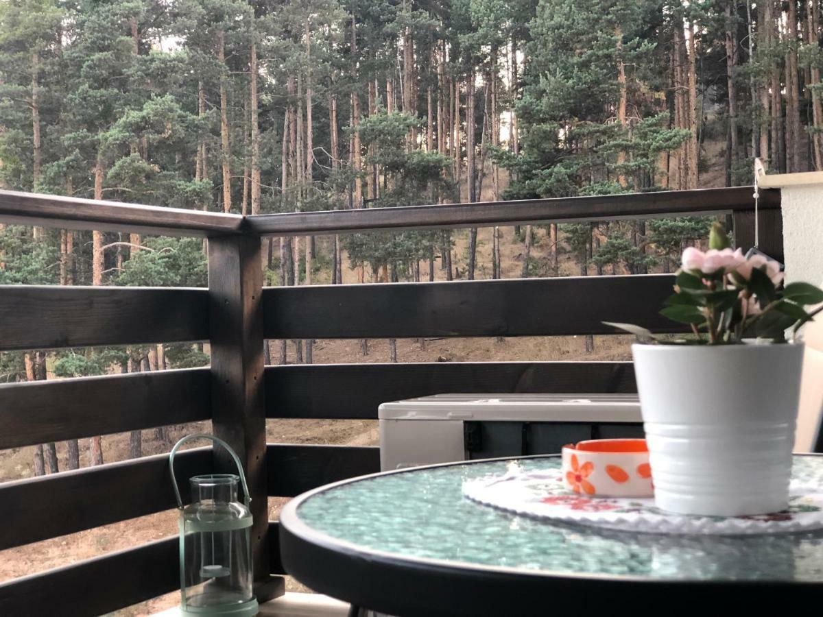 Borov Park 3 Lejlighed Velingrad Eksteriør billede