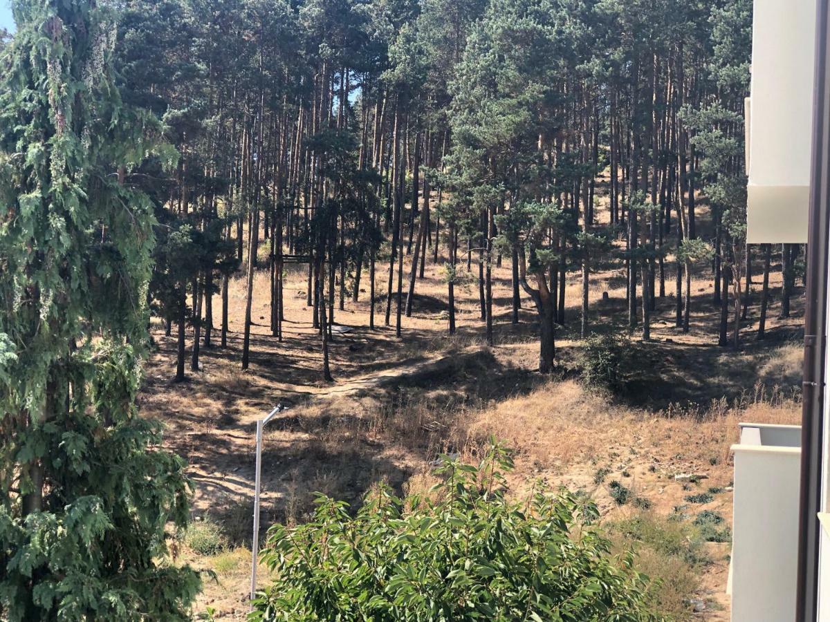 Borov Park 3 Lejlighed Velingrad Eksteriør billede