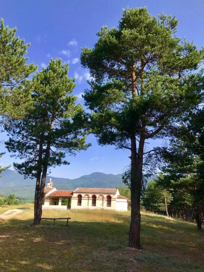 Borov Park 3 Lejlighed Velingrad Eksteriør billede